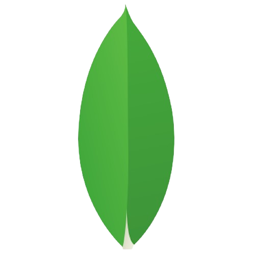MongoDB